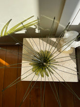 Load image into Gallery viewer, Green Arbolito Fruit Bowl by a Christopher Metcalfe