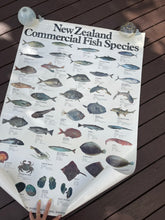 Load image into Gallery viewer, Iconic New Zealand Commerical Fish Species Poster

