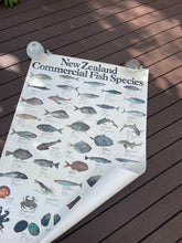 Load image into Gallery viewer, Iconic New Zealand Commerical Fish Species Poster
