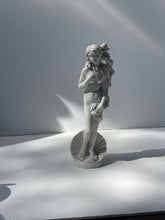 Load image into Gallery viewer, Statue of Venue - Small Soap Stone
